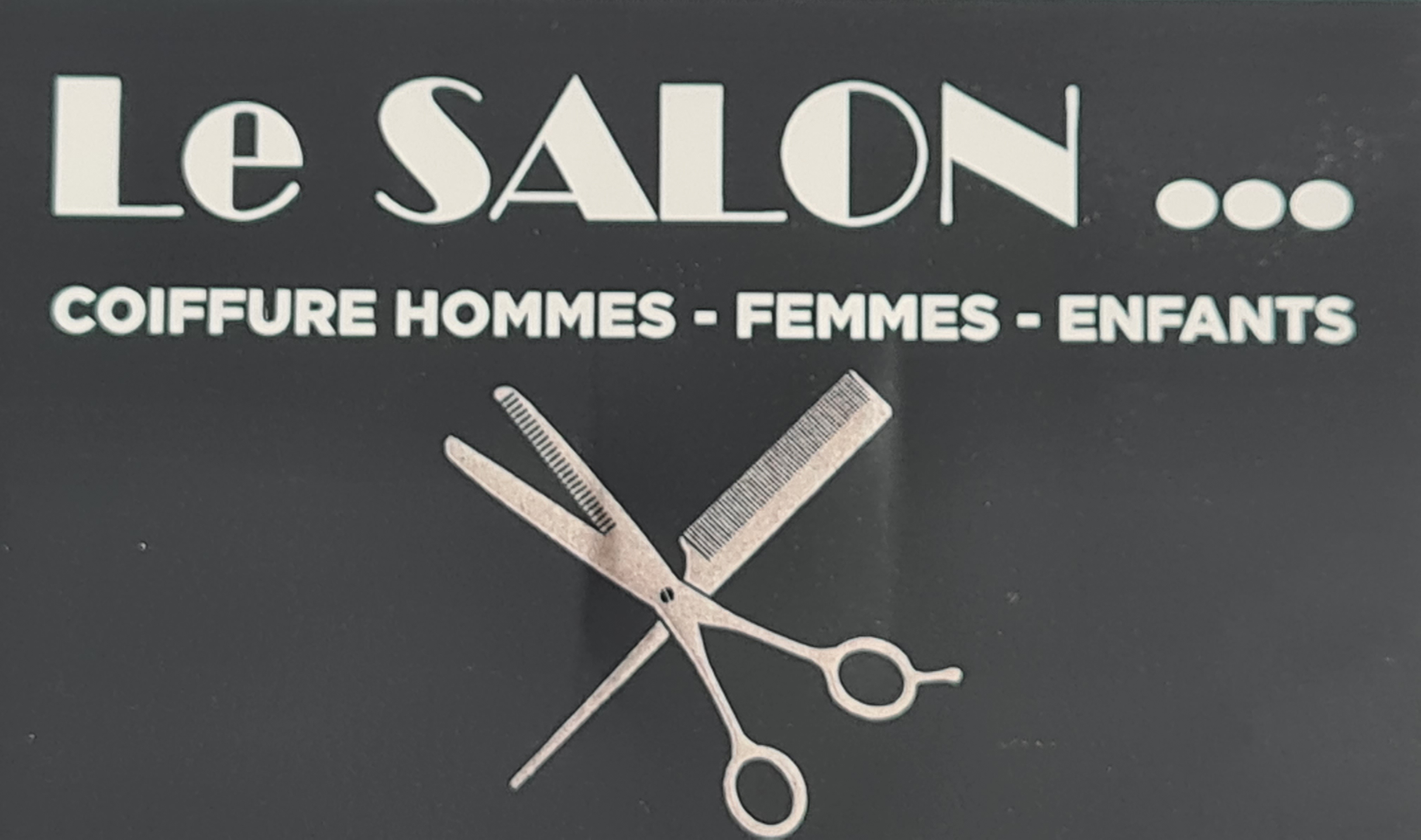 LE SALON