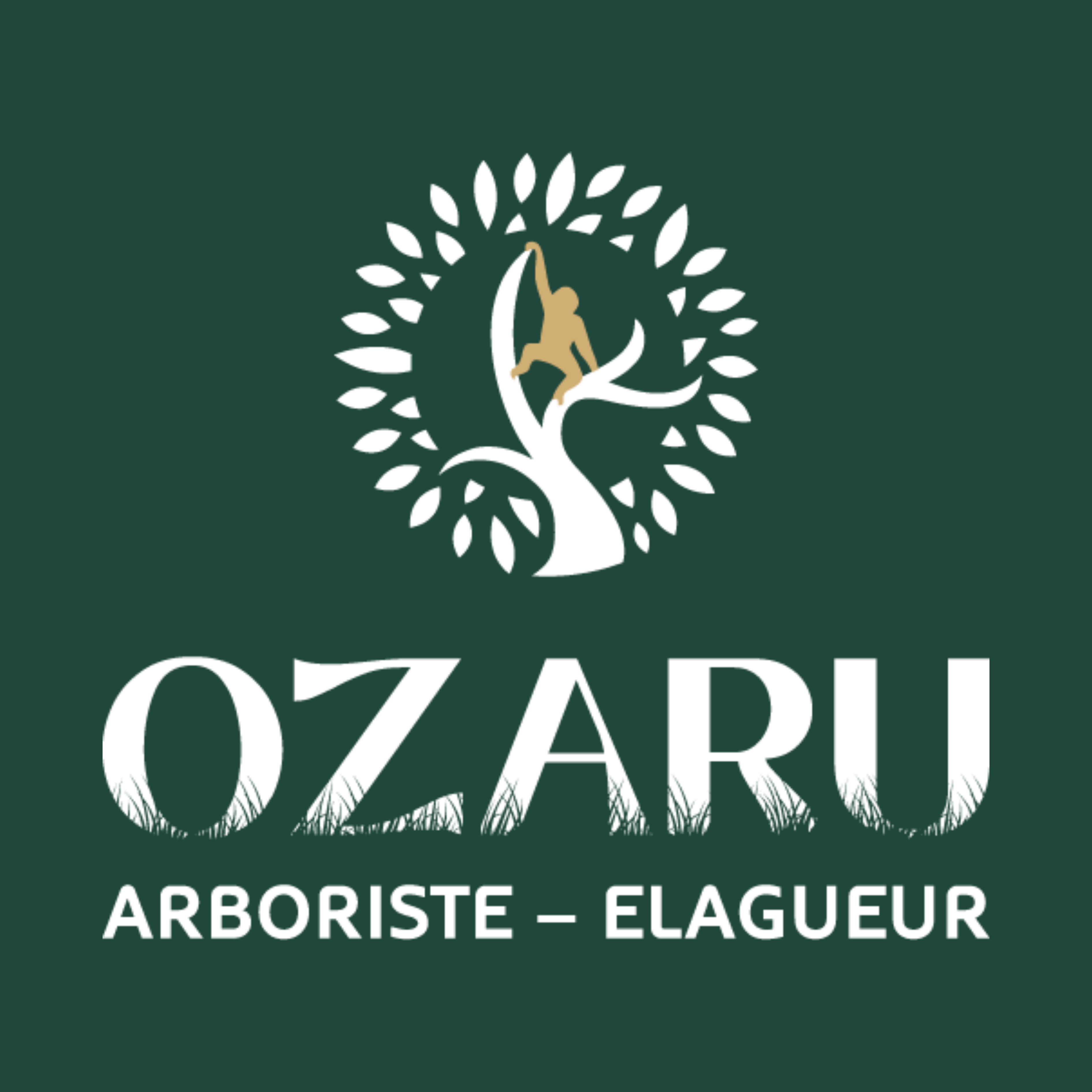 OZARU ELAGAGE
