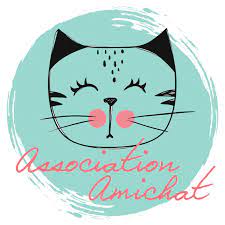 ASSOCIATION AMICHAT