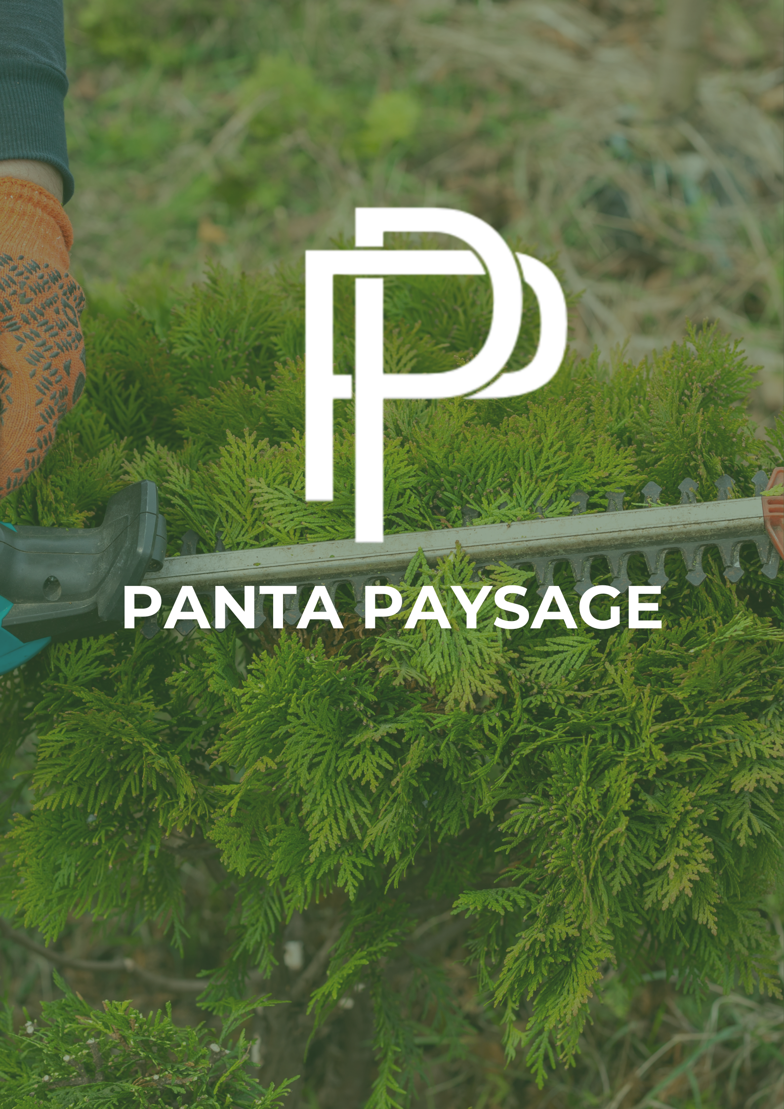 PANTA PAYSAGE