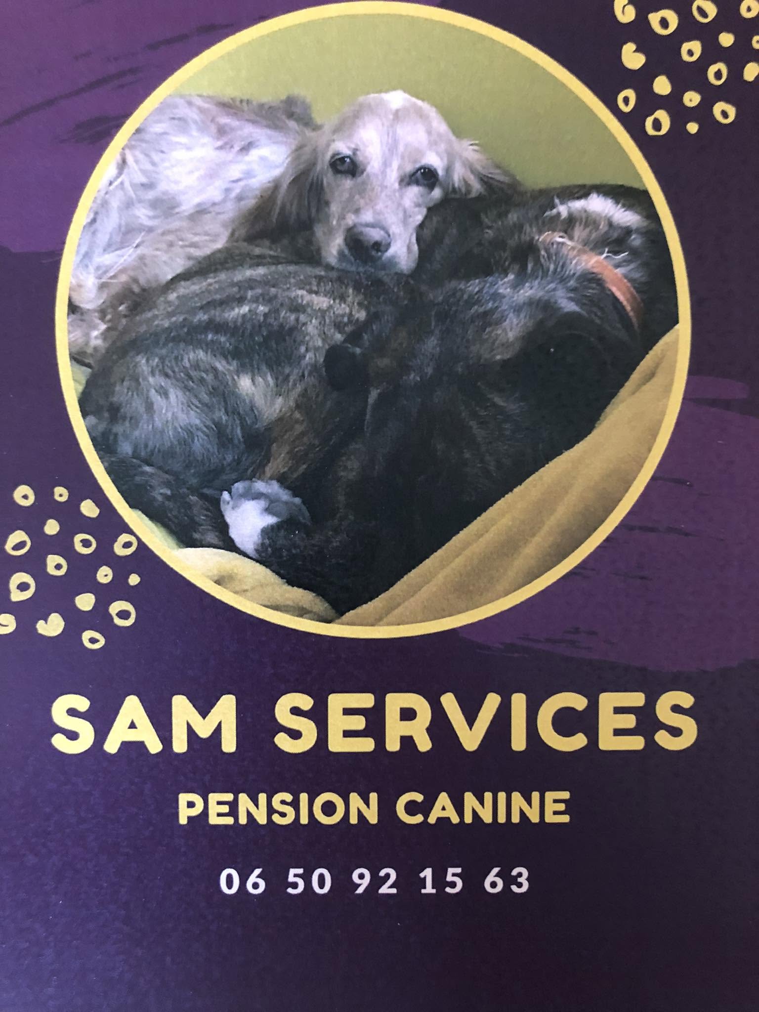 SAM SERVICES