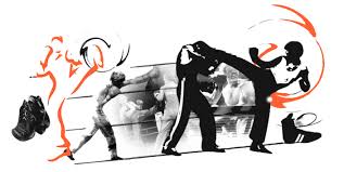 C.O.C SAVATE BOXE FRANCAISE