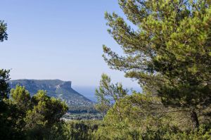 Vue sur Cassis