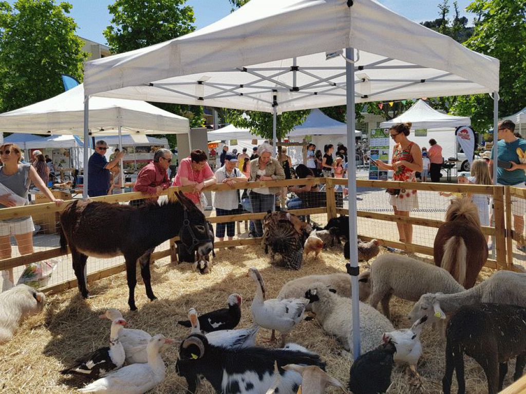 Journée développement durable - 8 juin 2019
